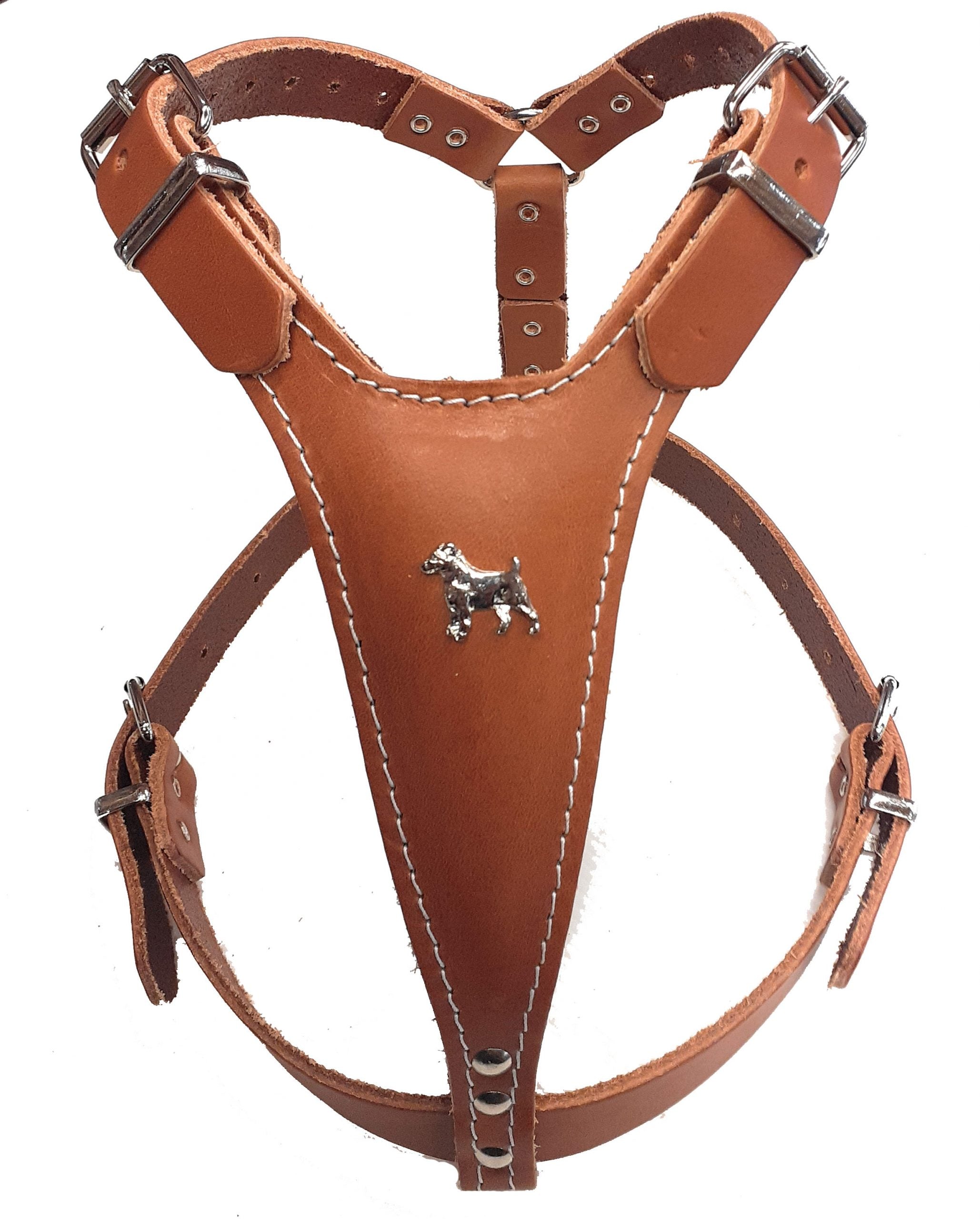 Tan Leather Dog Harness with Staffordshire Bullterrier Motif and Knot