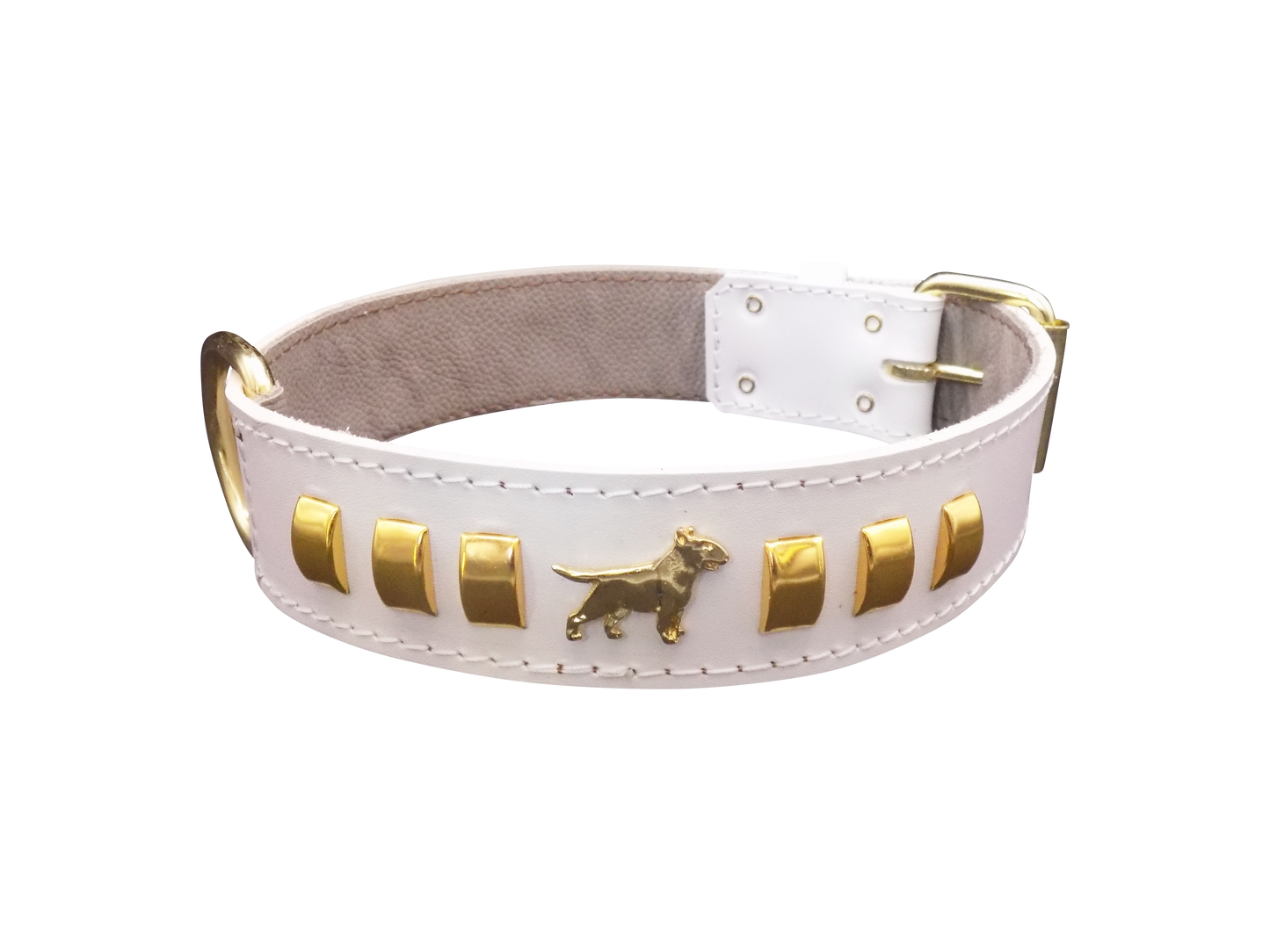 1.5" wide Leather Dog Collar with Decorative Gold Design and English Bull Terrier Badges