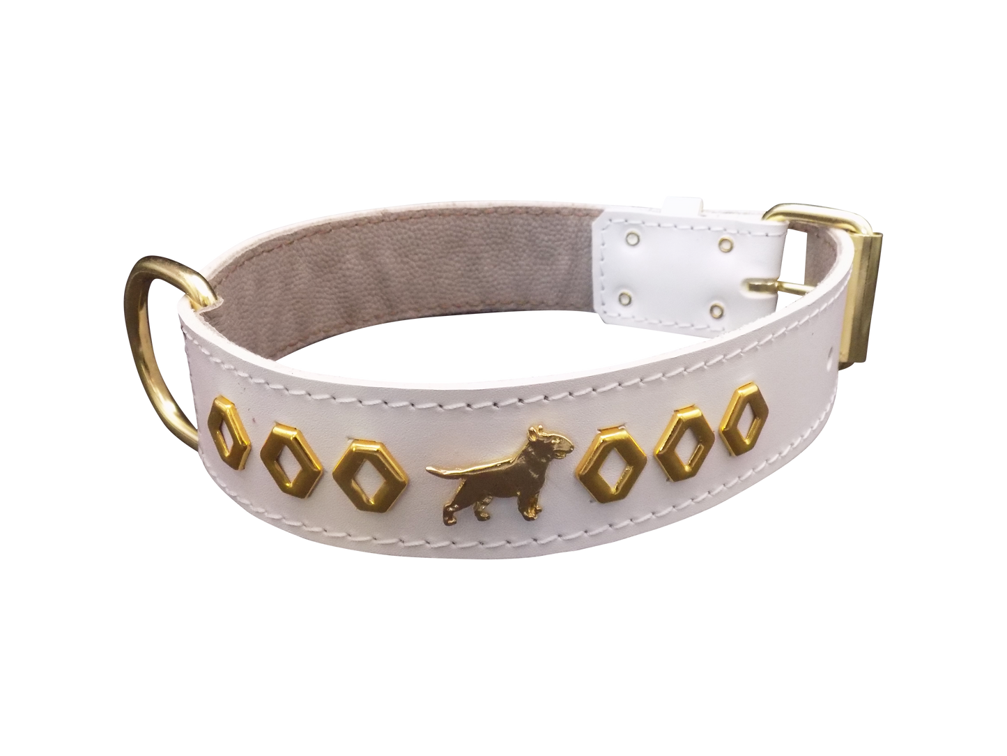 1.5" wide Leather Dog Collar with Decorative Gold Design and English Bull Terrier Badges