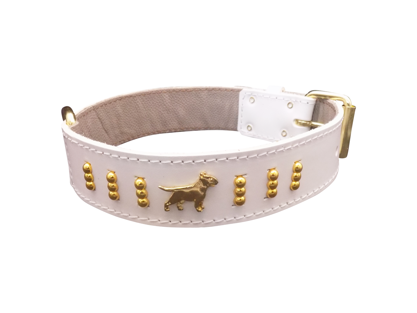 1.5" wide Leather Dog Collar with Decorative Gold Design and English Bull Terrier Badges