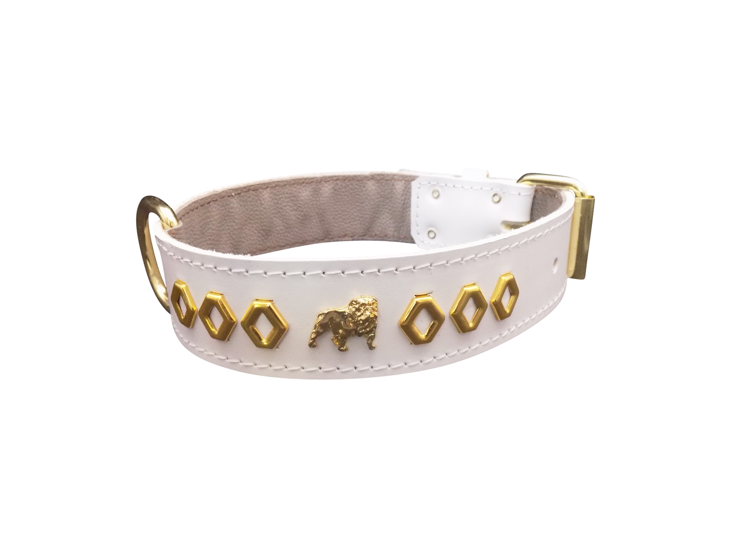 1.5" wide Leather Dog Collar with Unique Gold Design and English Bulldog Badges