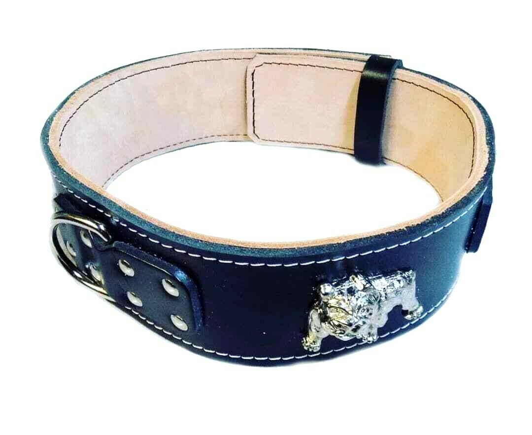 2.5inch Wide Heavy Duty Black Leather Collar with English Bulldog Badge
