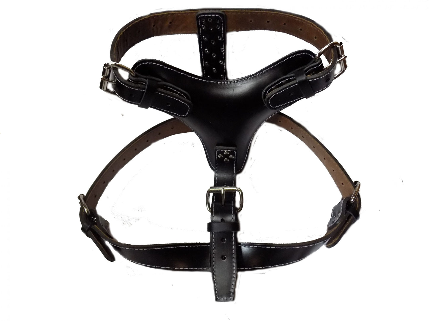 extra large dog harness