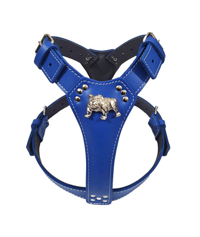 Royal Blue Large Leather Dog Harness with English Bulldog Badge