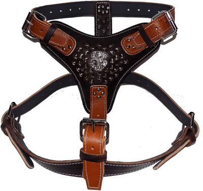 Two Tone Extra Large Heavy Duty Brown / Dark Brown Leather Dog Harness with Studds and American Bulldog Badge