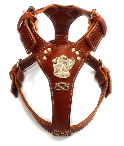 Tan Brown Leather Dog Harness with Staffordshire Bullterrier and Knot