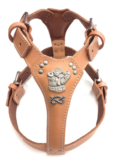 Beige Leather Dog Harness with Staffordshire Bullterrier and Knot