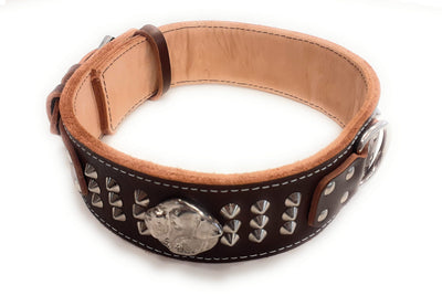 2.5 inch Dark Brown Leather Dog Collar with American Bulldog Head Motif and Studds