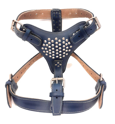 Extra Large Heavy Duty Navy Blue Leather Dog Harness with Studds