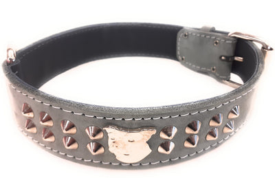1.5" Grey Leather Dog Collar with Studded Design and Staffy Badge