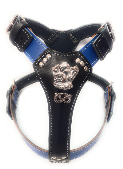 Two Tone Blue / Black Leather Dog Harness with Staffordshire Staffy Head Motif & Knot