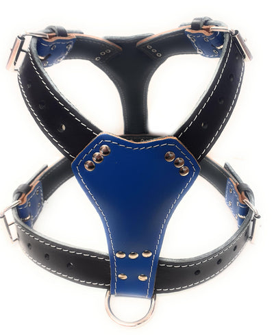 Two Tone Blue / Black Leather Dog Harness with Staffordshire Staffy Head Motif & Knot