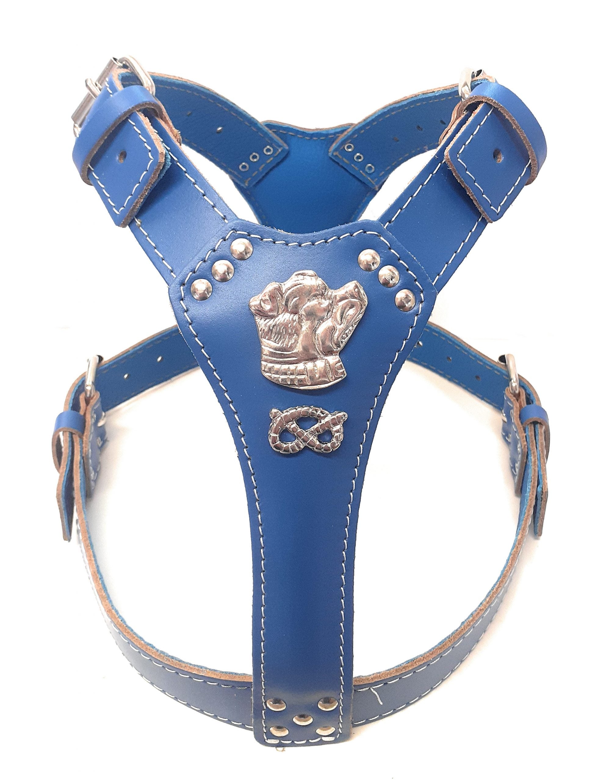 Staffordshire bull best sale terrier harness