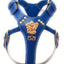 Staffy Blue Leather Dog Harness with Staffordshire Bullterrier Head Motif & Knot