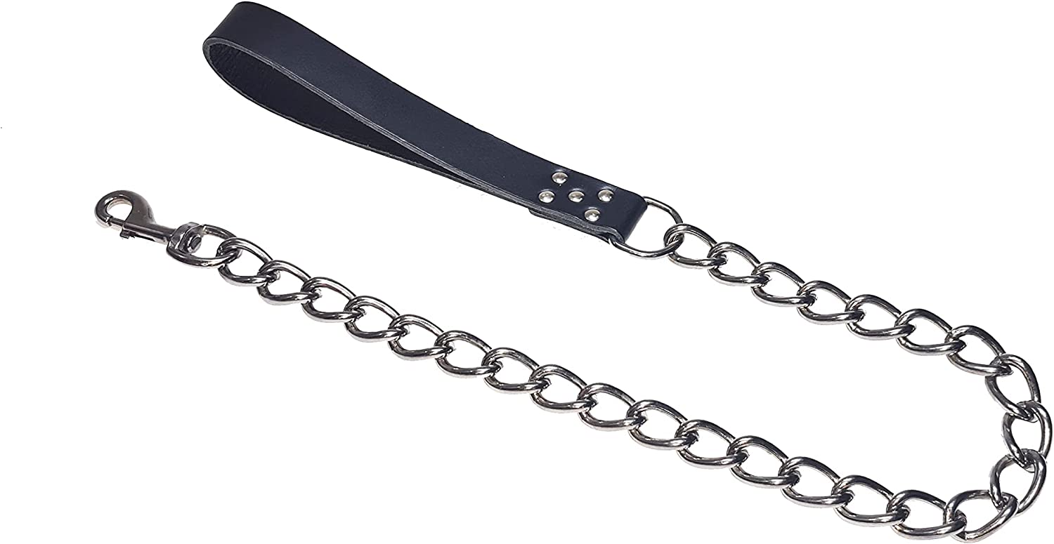 Long chain hotsell dog lead