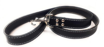1 inch wide Black Leash Leather Dog Lead