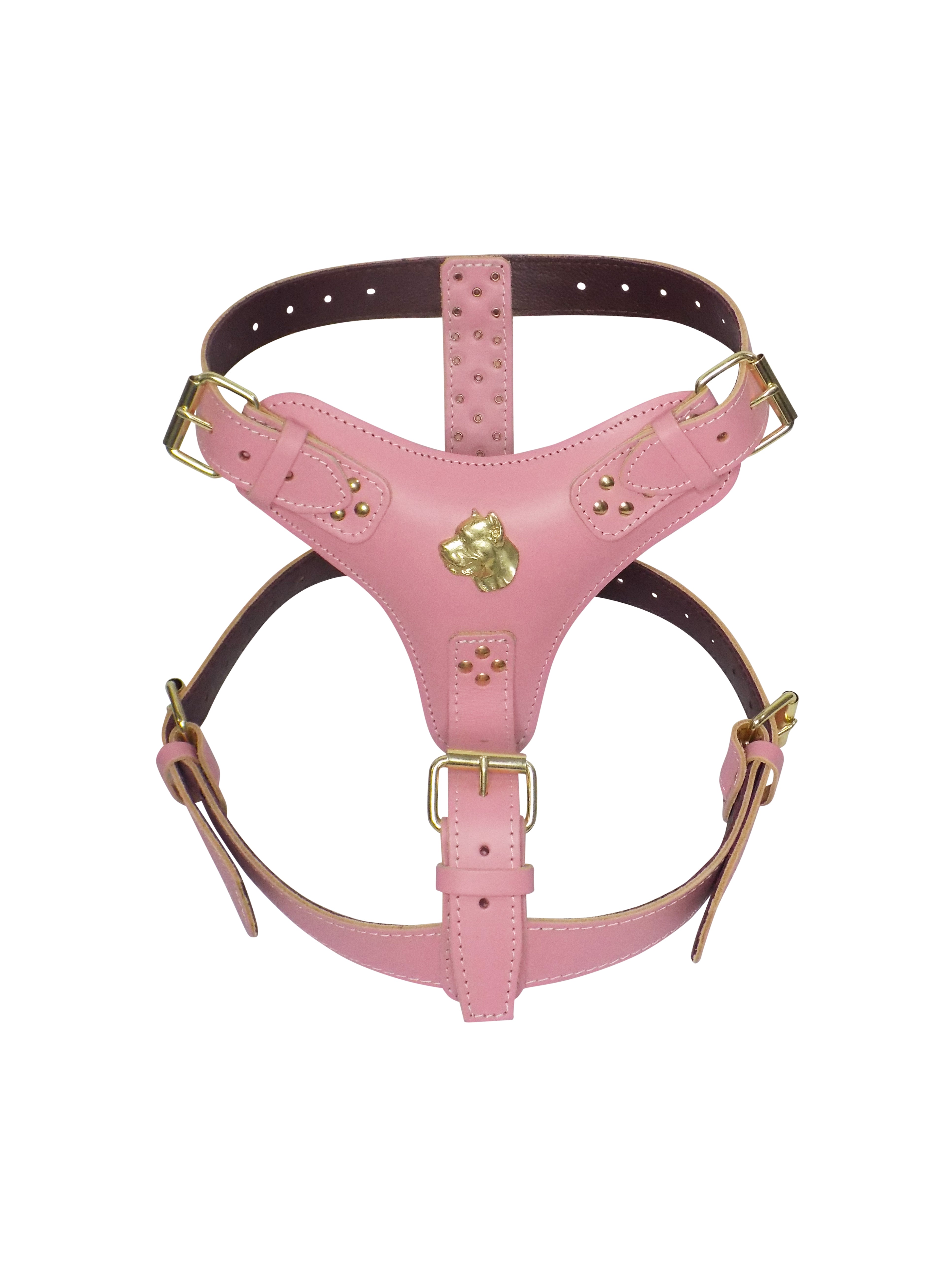 Cane corso clearance leather harness