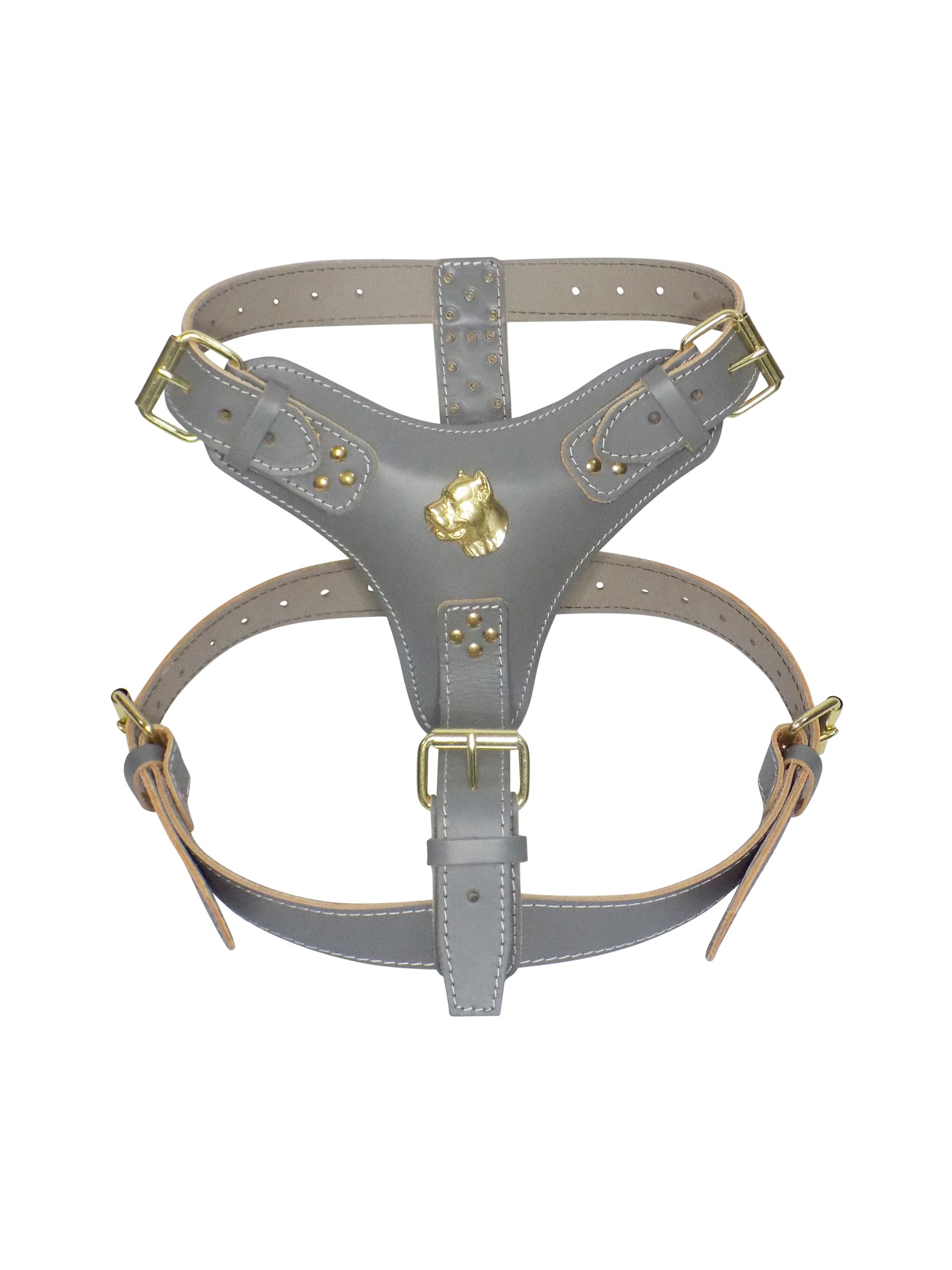 Extra Large Heavy Duty Leather Dog Harness with Gold Cane Corso Head Motif