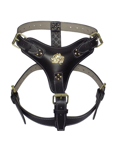 Extra Large Heavy Duty Leather Dog Harness with Gold American Bully Head Motif