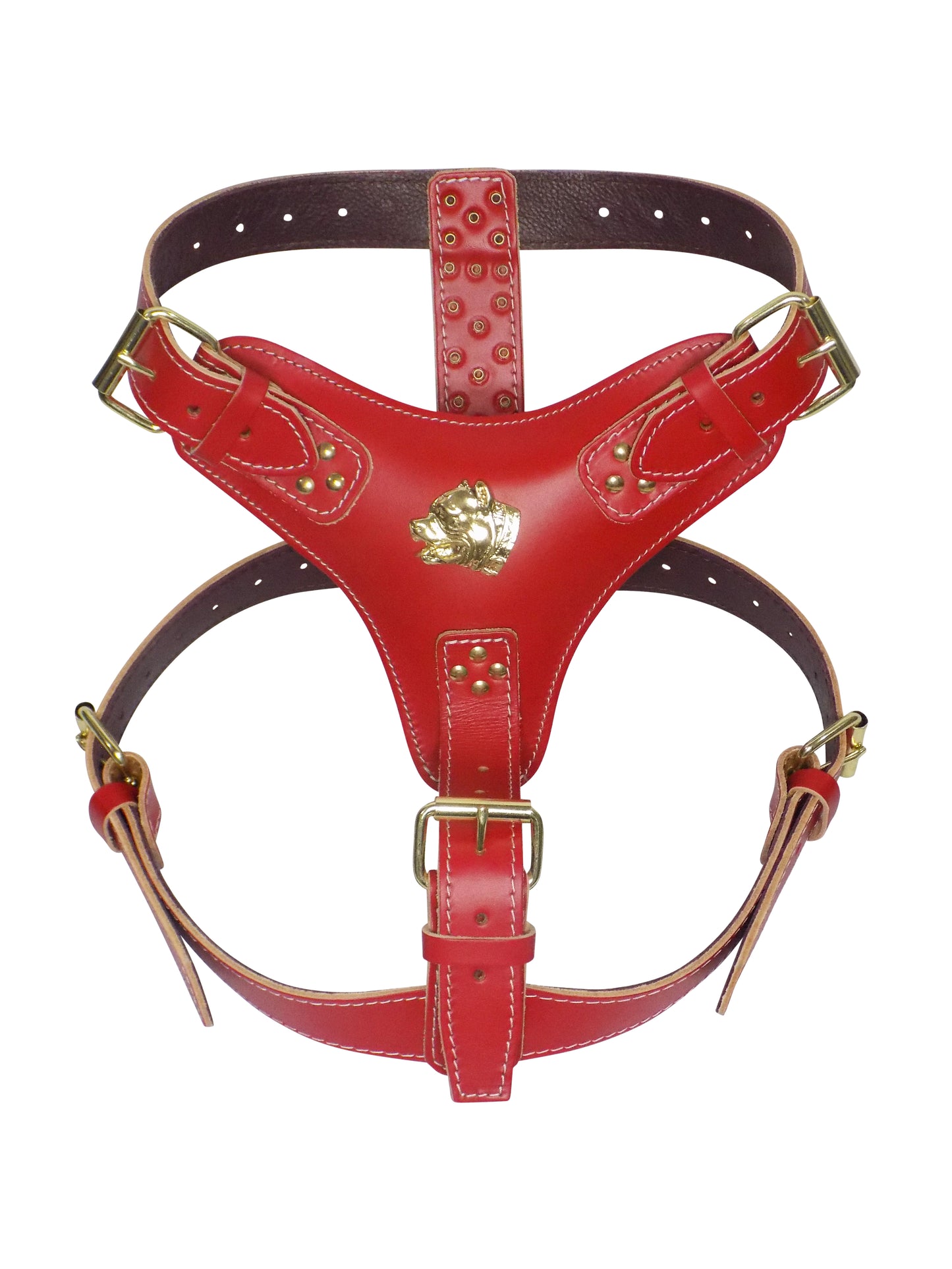 Extra Large Heavy Duty Leather Dog Harness with Gold American Bully Head Motif