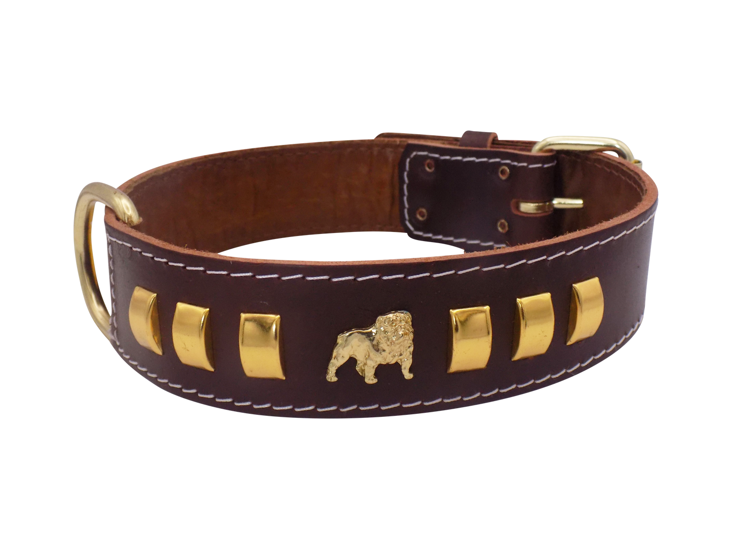 1.5" wide Leather Dog Collar with Unique Gold Design and English Bulldog Badges