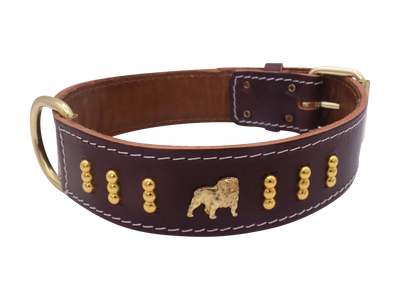 1.5" wide Leather Dog Collar with Unique Gold Design and English Bulldog Badges Style-4