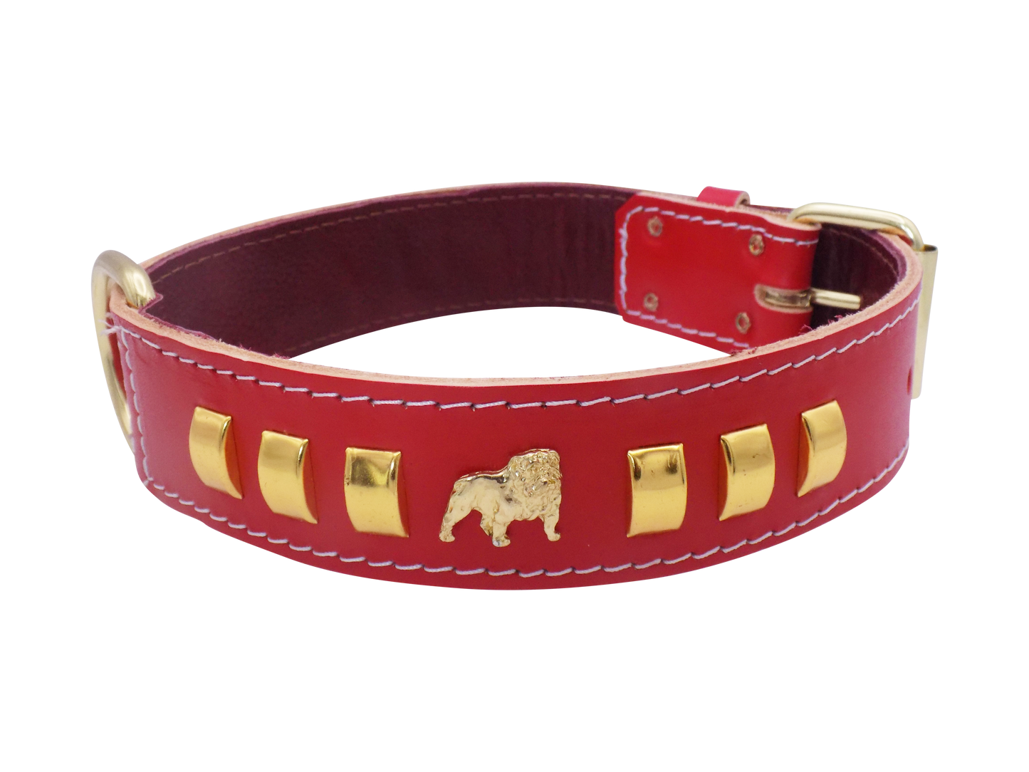 1.5" wide Leather Dog Collar with Unique Gold Design and English Bulldog Badges