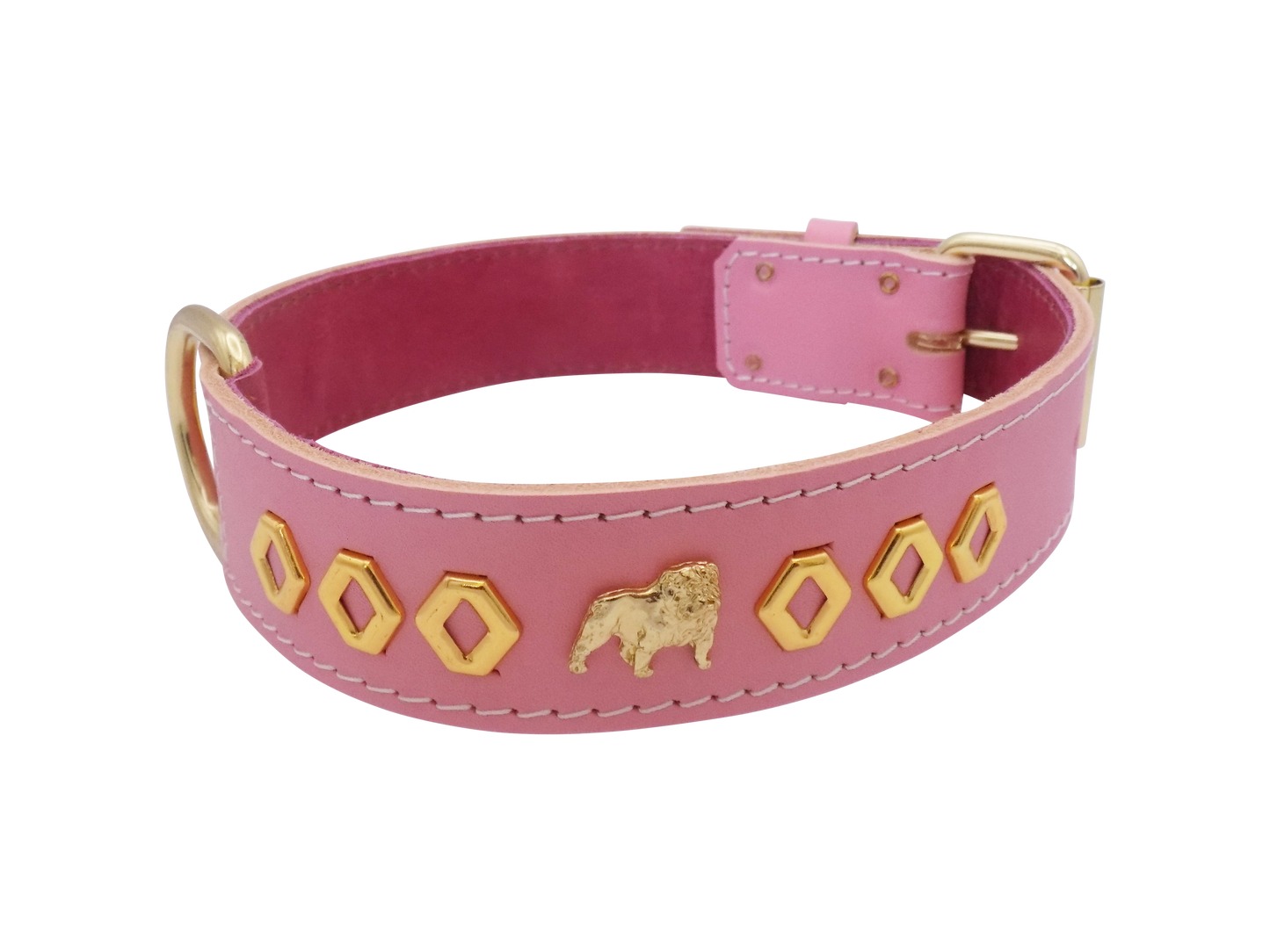 1.5" wide Leather Dog Collar with Unique Gold Design and English Bulldog Badges