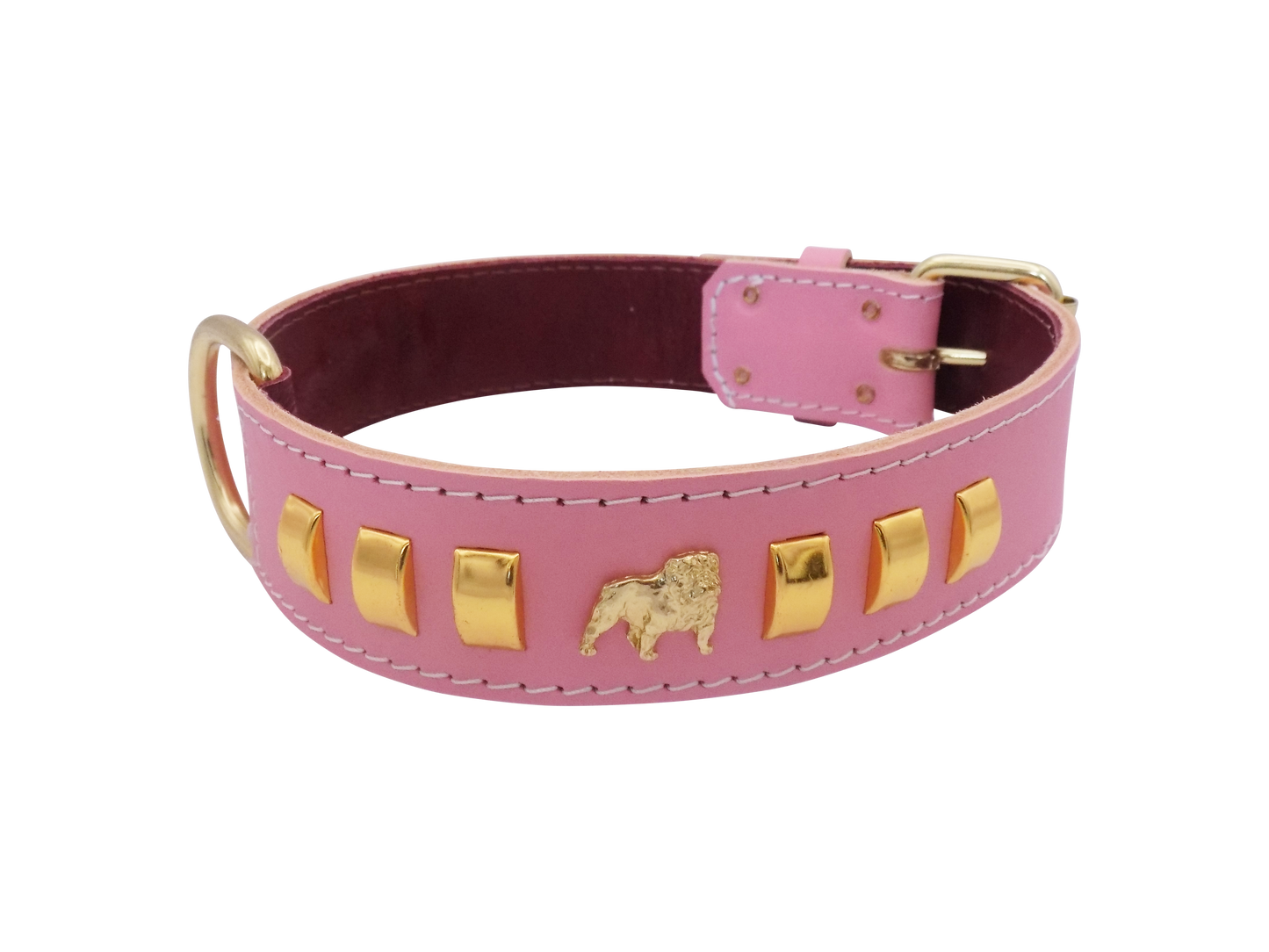 1.5" wide Leather Dog Collar with Unique Gold Design and English Bulldog Badges