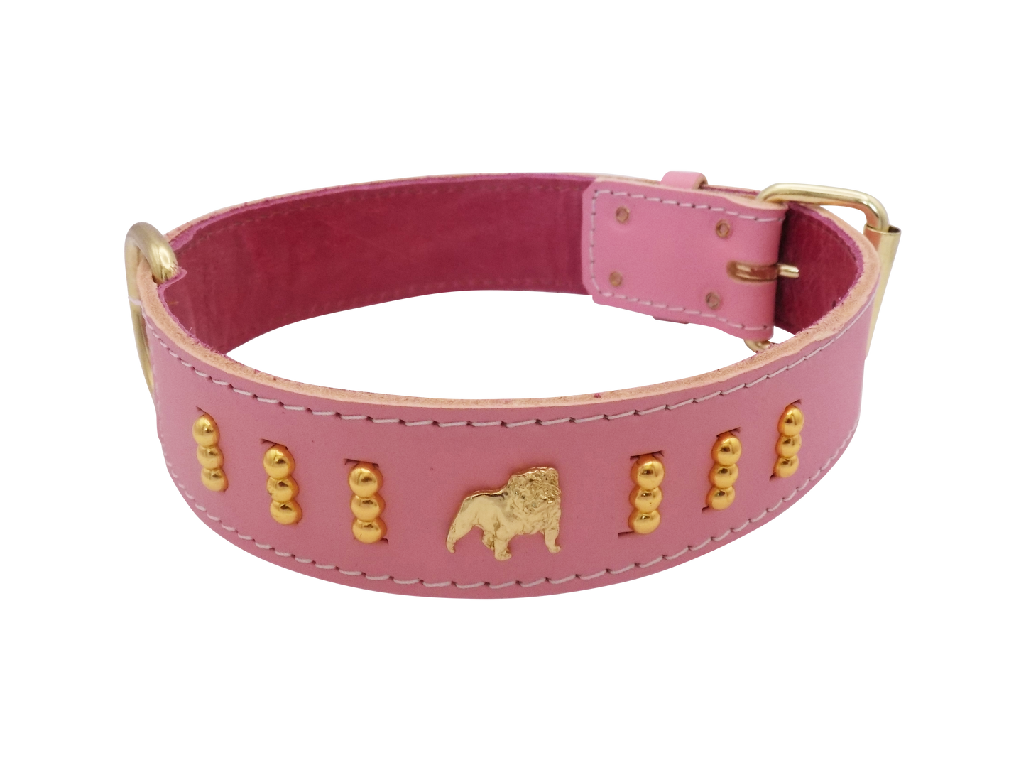 1.5" wide Leather Dog Collar with Unique Gold Design and English Bulldog Badges Style-4