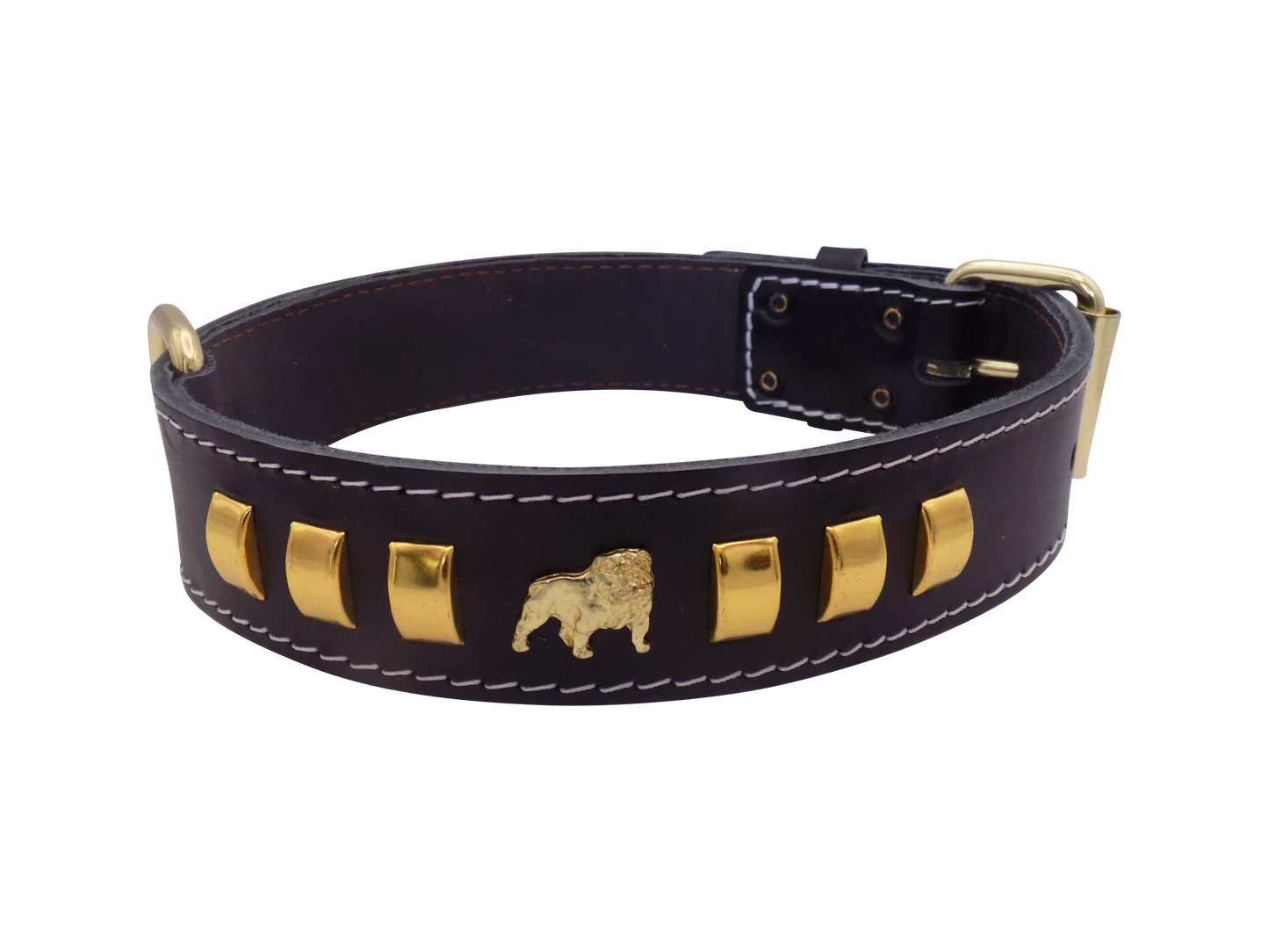 1.5" wide Leather Dog Collar with Unique Gold Design and English Bulldog Badges