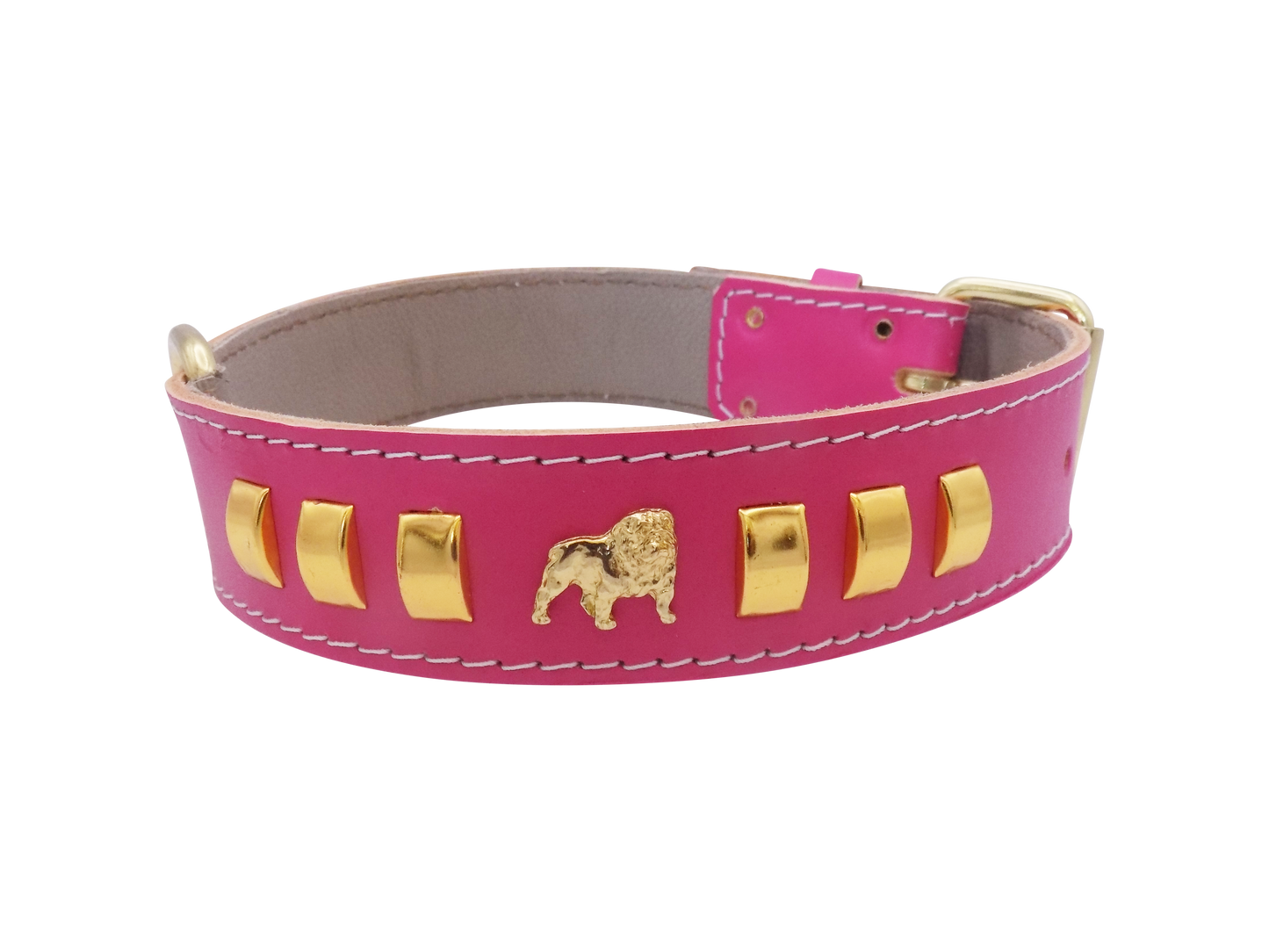 1.5" wide Leather Dog Collar with Unique Gold Design and English Bulldog Badges