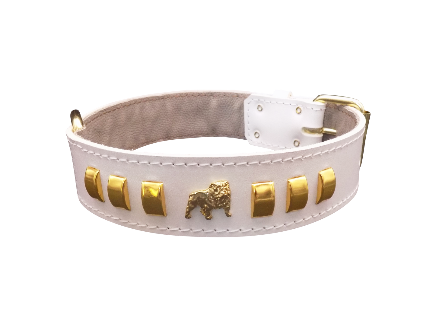 1.5" wide Leather Dog Collar with Unique Gold Design and English Bulldog Badges