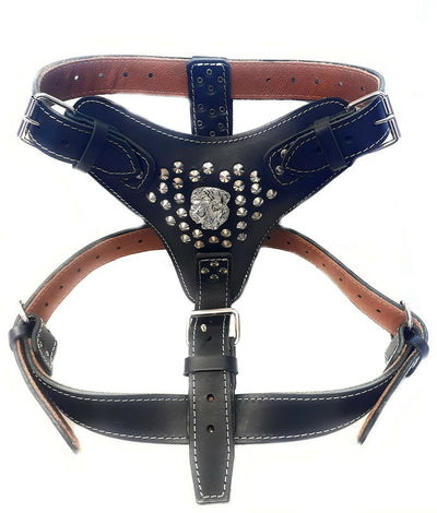 Extra Large Heavy Duty Black Leather Dog Harness with Studds and American Bulldog Badge