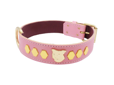 1.5" Staffy Leather Dog Collar with Unique Gold Decorative Design and Staffordshire Bull Terrier Badge