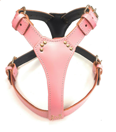 Baby Pink Plain Leather Dog Harness Perfectly Fit any Large Dogs like Staffordshire Bull Terrier and more similar Breeds