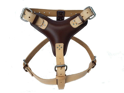 Two Tone Extra Large Heavy Duty Plain Beige/Brown Leather Dog Harness