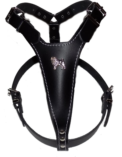 Black Pug harness