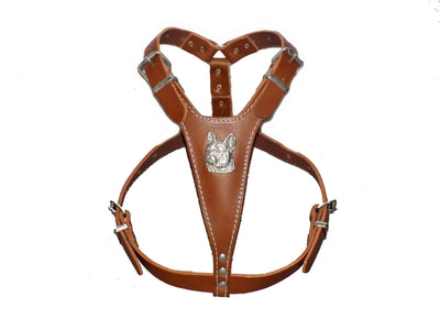 french bulldog brown harness