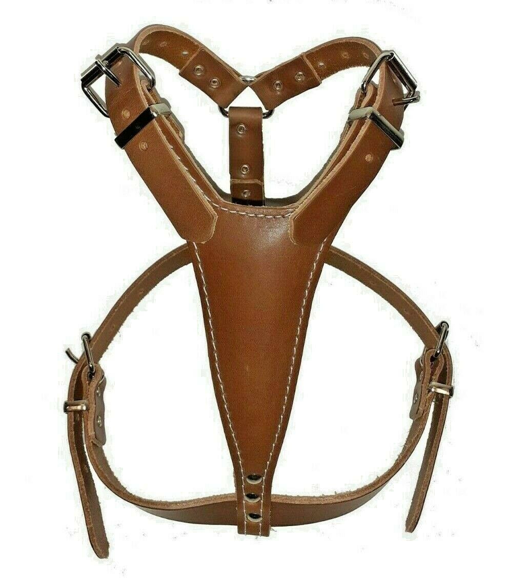 brown dog harness