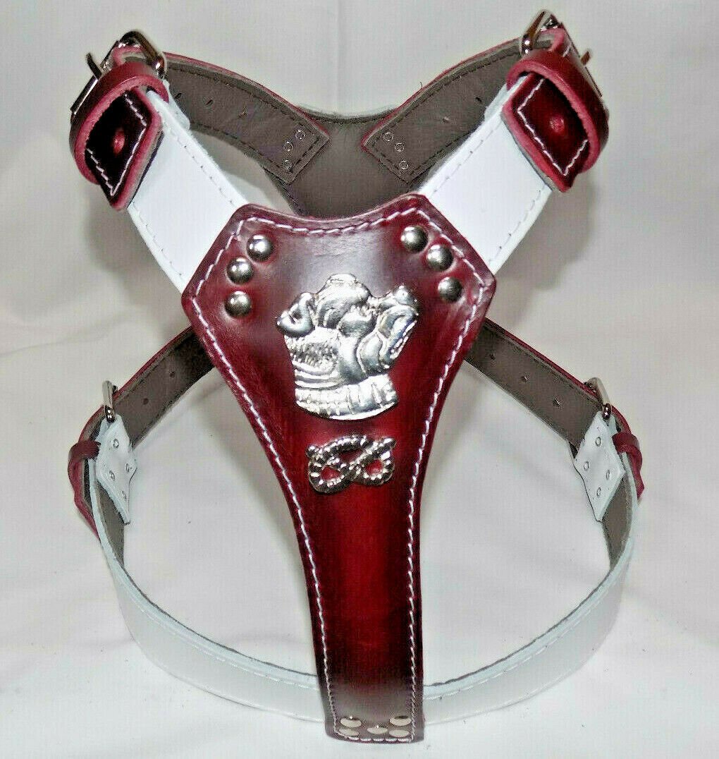 Two Tone Leather Dog Harness with Staffordshire Bullterrier and Knot Cherry and White