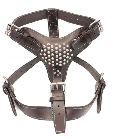 Extra Large Heavy Duty Dark Brown Leather Dog Harness with Studds