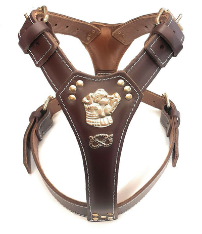 Chocolate Brown Leather Dog Harness with Staffordshire Bullterrier Head Motif & Knot