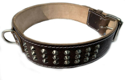 2 inch wide Heavy Duty Leather Dog Collar with Studds for Large and Big Dog Breeds
