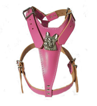 french bulldog harness