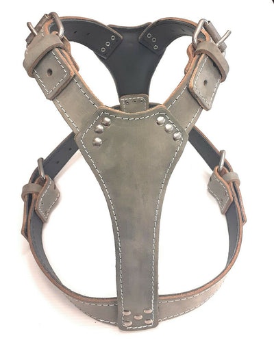 Grey Plain Leather Dog Harness Perfectly Fit any Large dogs like Staffordshire Bullterrier and more similar breeds