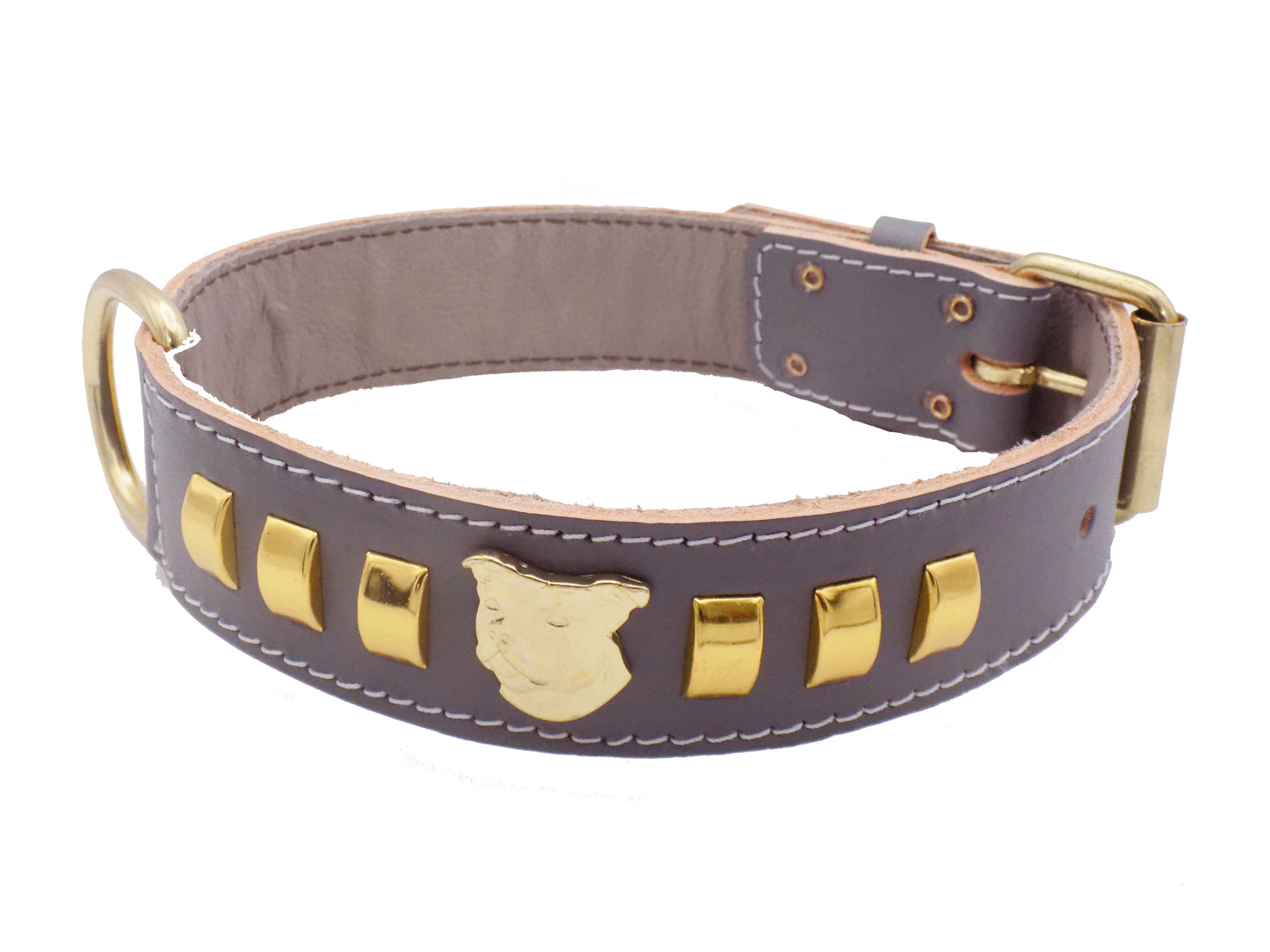 1.5" Staffy Leather Dog Collar with Gold Decorative Design and Staffordshire Bull Terrier Badge