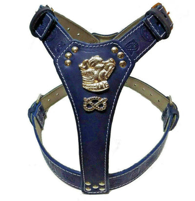 Navy Blue Leather Dog Harness with Staffordshire Bullterrier and Knot