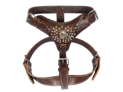 Extra Large Heavy Duty Leather Dog Harness with Presa Canario and Studded Design