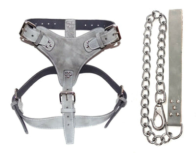Extra Large Plain Grey Leather Dog Harness for Any Big Dog Breed with Chain Lead